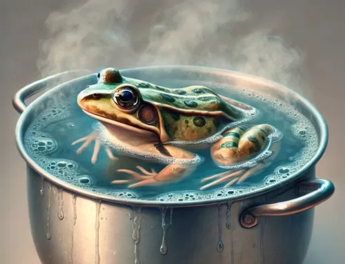 Você está dentro da panela e nem percebe?